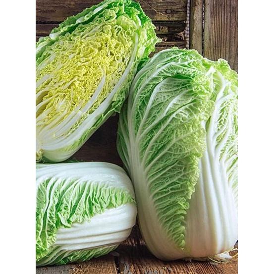 Hạt giống rau cải thảo - 1 gói 0.2gram