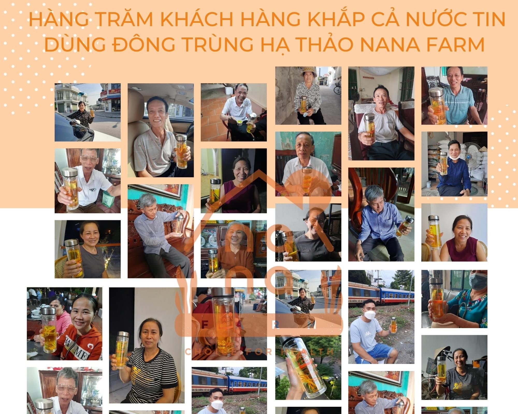 ĐÔNG TRÙNG HẠ THẢO SẤY KHÔ THĂNG HOA