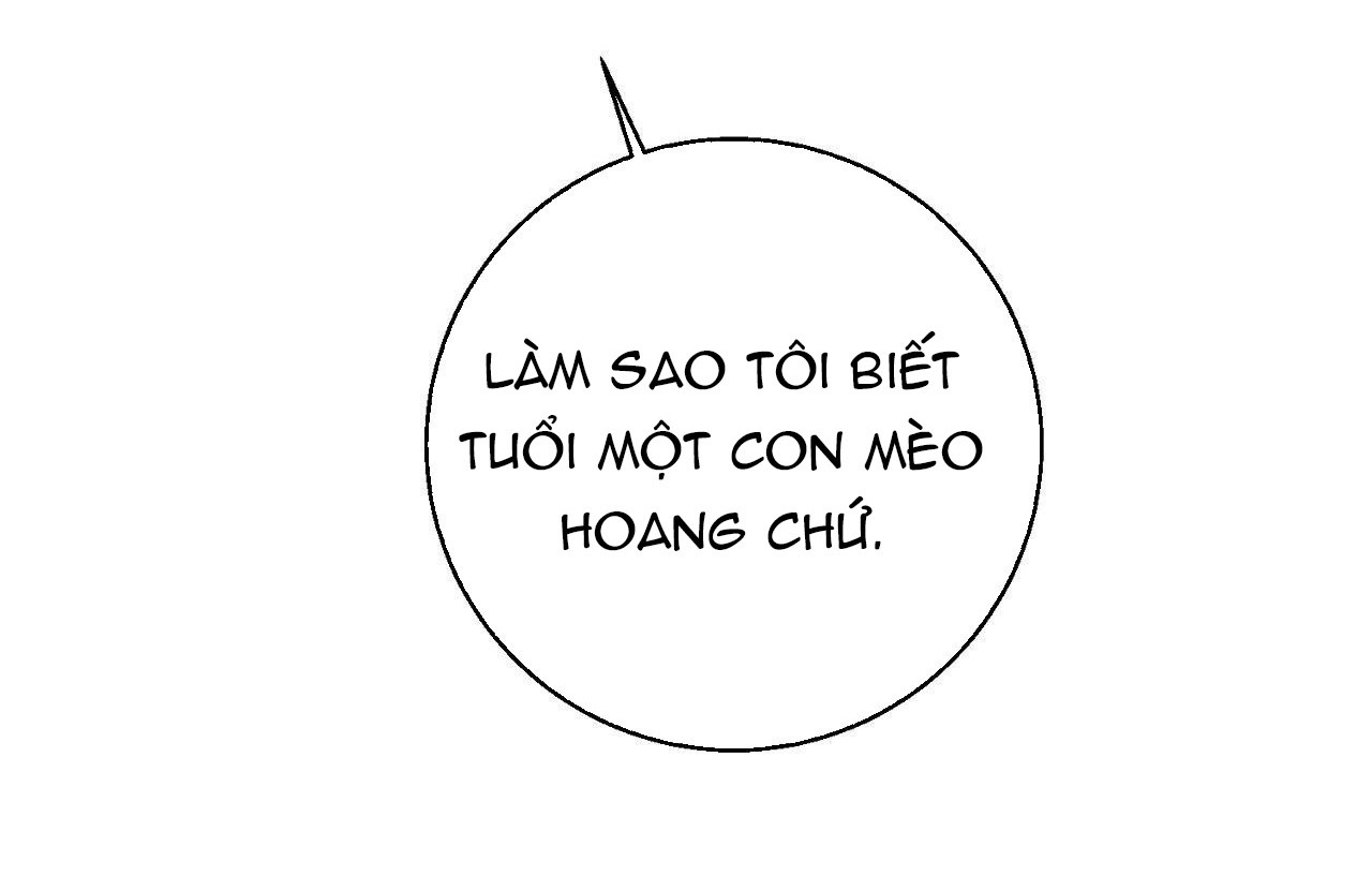 Hối Lộ Ngọt Ngào chapter 26 - Trang 6