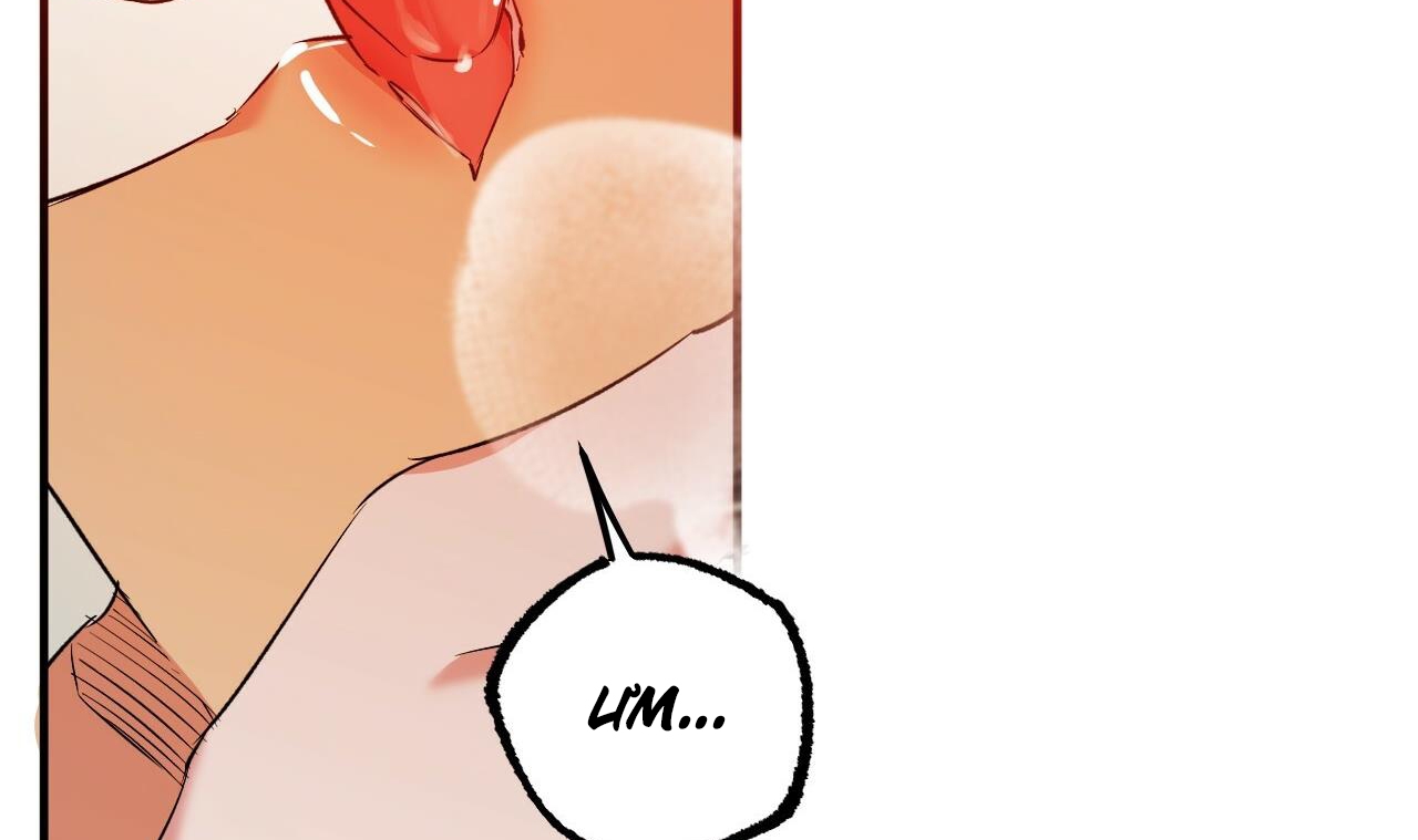 những chú thỏ của hapypy chapter 53 225