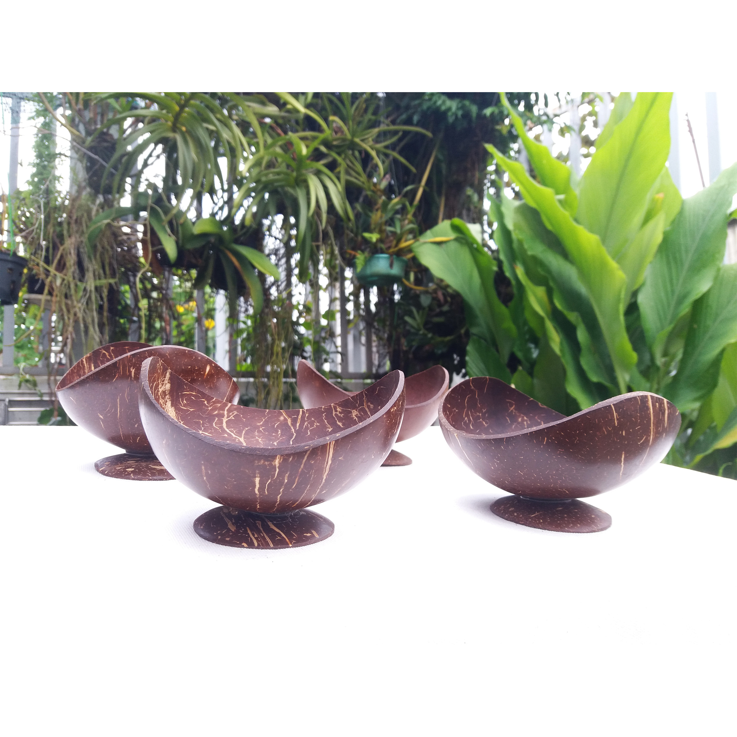 4 Ly gáo dừa - Cốc gáo dừa tự nhiên dáng Oval ST-0025 (Set gồm 4 chiếc)