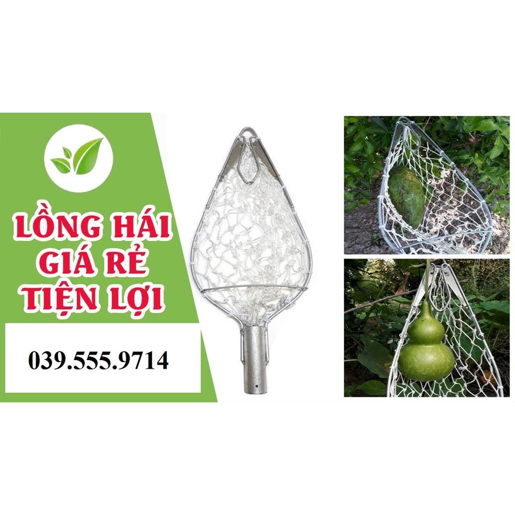 LỒNG HÁI TRÁI TRÊN CAO