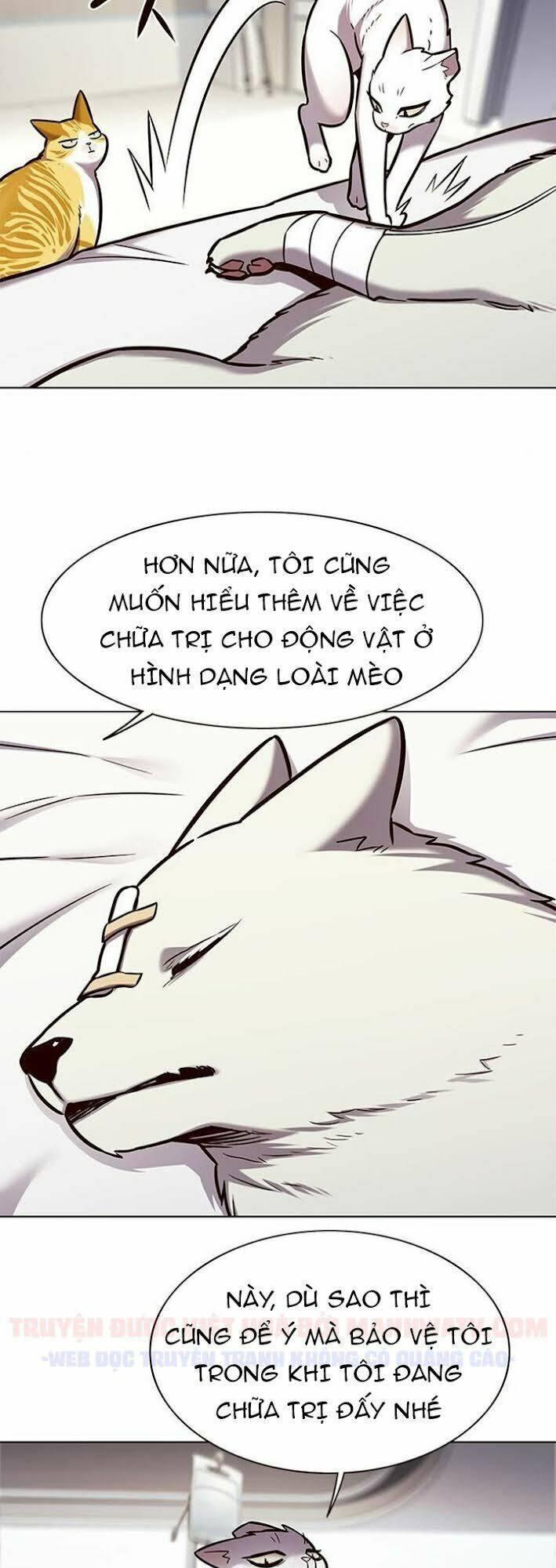 biến thân thành mèo chapter 166 11