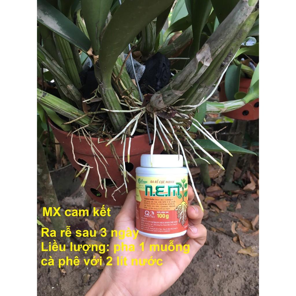 COMBO 5 LỌ NEM KÍCH RỄ CỰC MẠNH 83K