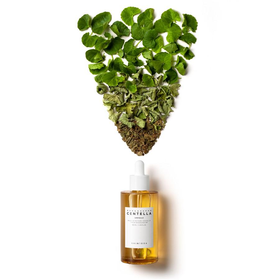 Bộ 5 SP Giảm Mụn, Làm Dịu Da Skin1004 Madagascar Centella