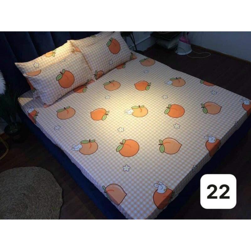 Set ga gôi poly cottong cao cấp