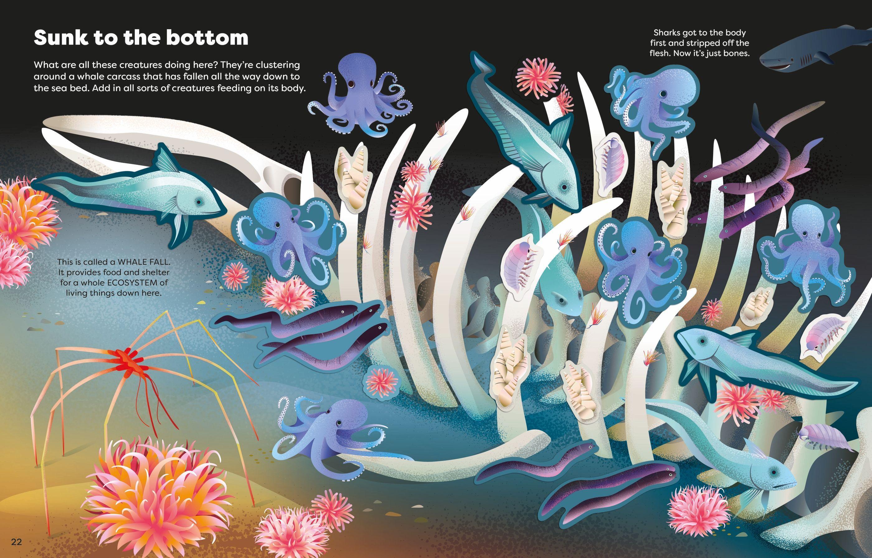 Sách ngoại văn: Big Sticker Book Weird Deep Sea Creatures