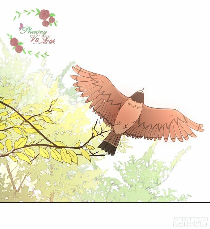 luyến đường thời quang chapter 3 22