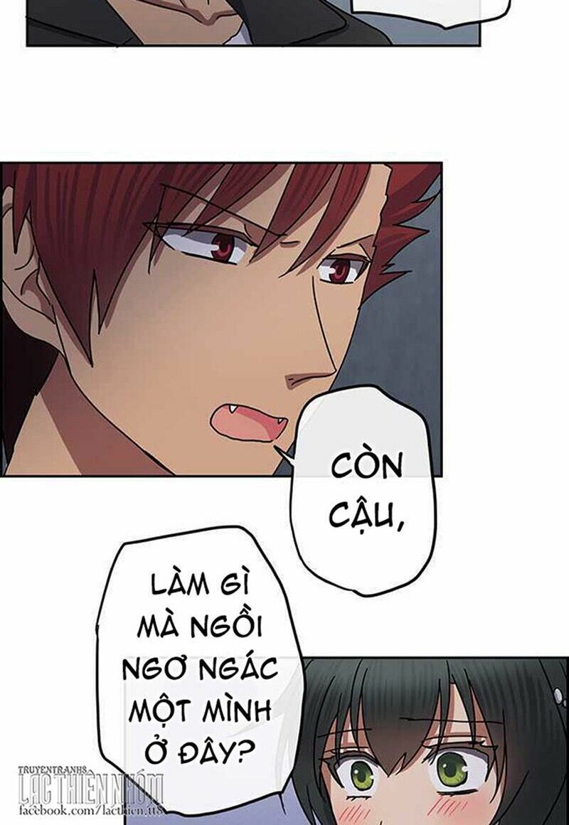 nụ hôn nguyền rủa chapter 94 16