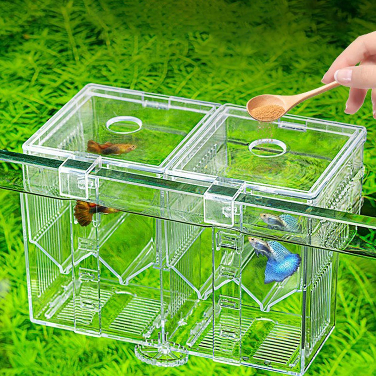 Fish Breeding Box Clear Fish Box for Fish Supplies