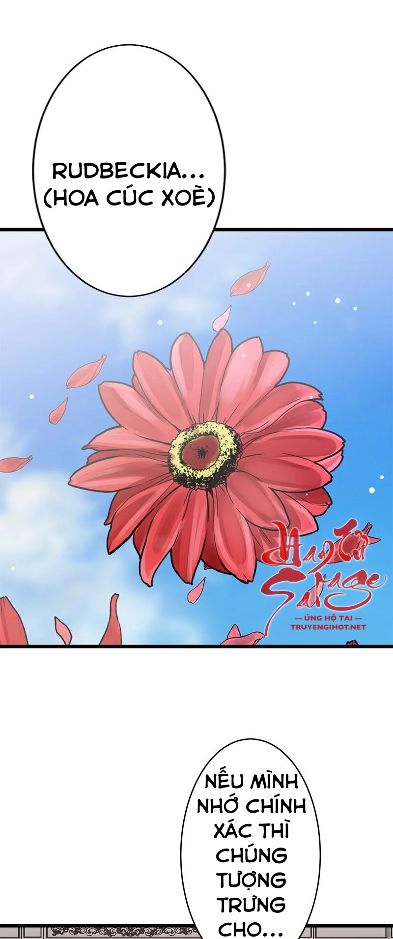 nullitas~nàng dâu giả dối~ chapter 21.2 12