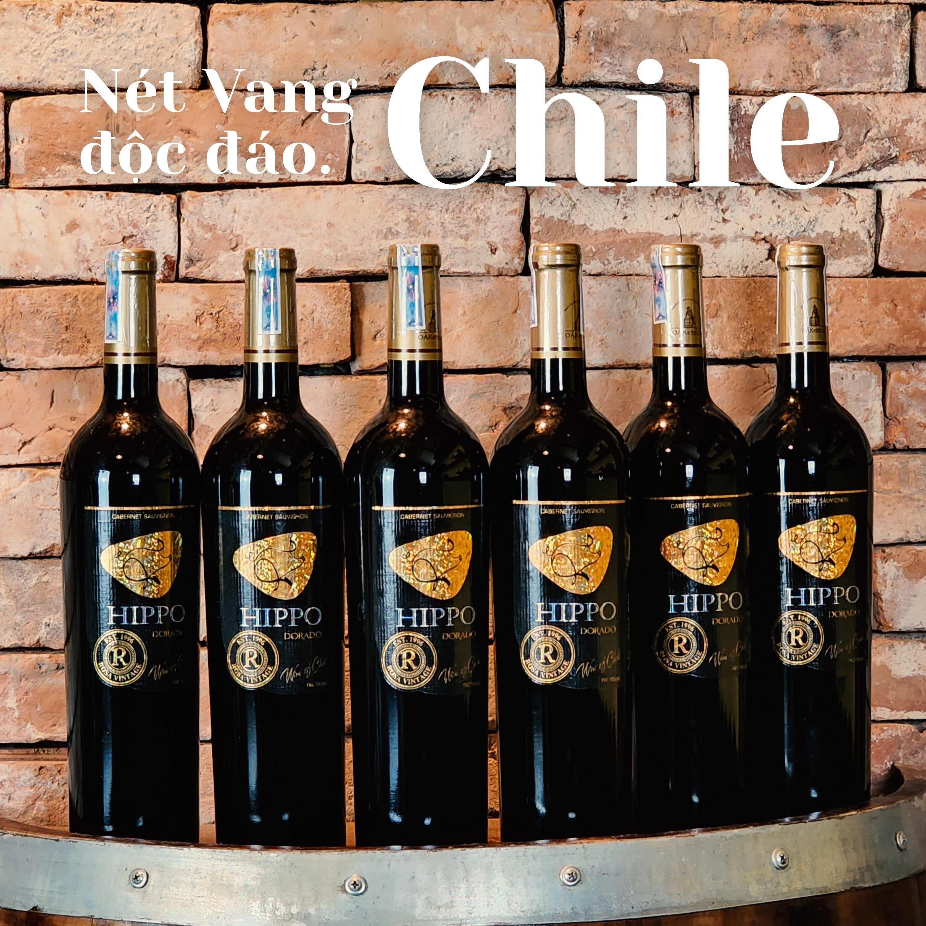 Rượu Vang Đỏ Hippo Dorado Nhập Khẩu Chile 13% vol - Chai 750ml.