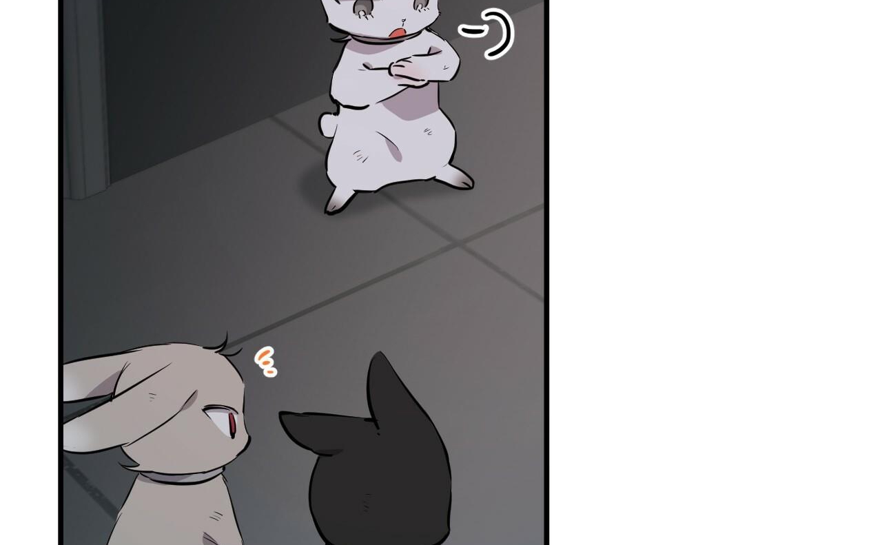 đàn thỏ của habibi chapter 46 264