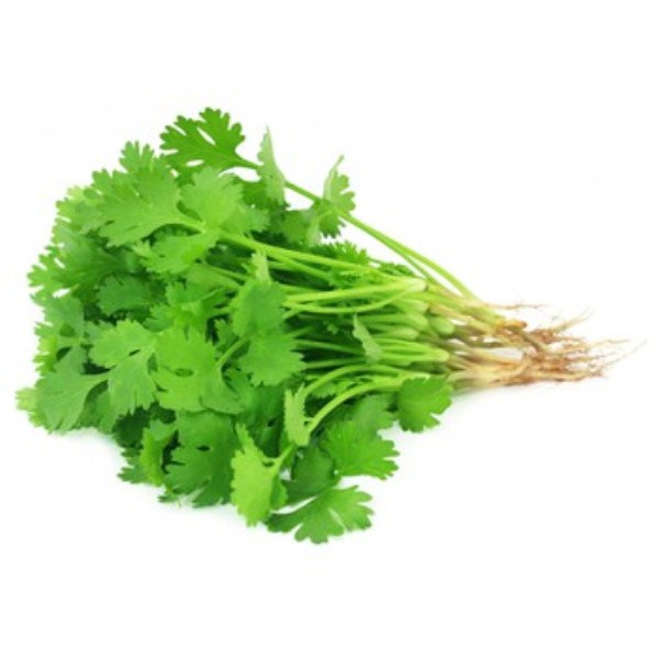Combo 2 gói hạt giống rau mùi ta 20gr 1 túi