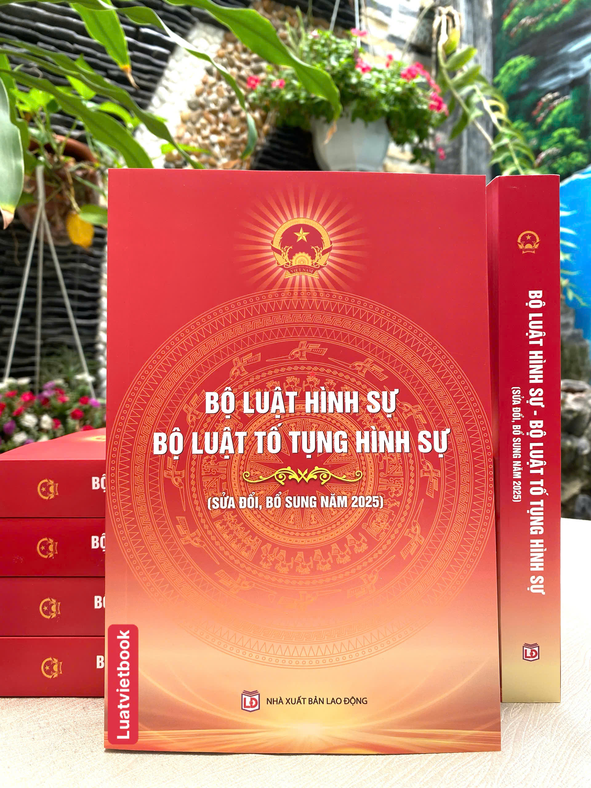 Bộ Luật Hình Sự, Bộ Luật Tố Tụng Hình Sự ( Sửa Đổi, Bổ Sung Năm 2025 )