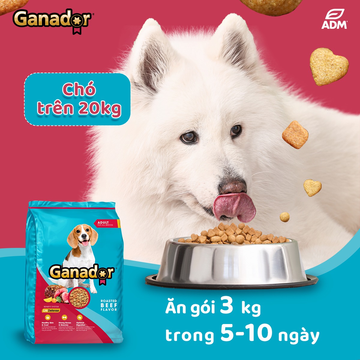 20KG Thức Ăn Hạt Chó Lớn Ganador Roasted Beef Flavor - Vị Bò Nướng - Thức ăn hạt cho Chó