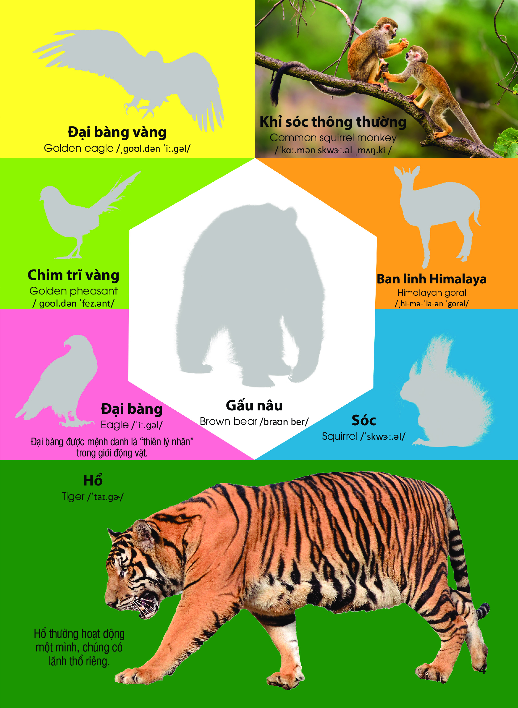 Dán Hình Nhận Biết Động Vật - Động Vật Hoang Dã _DTI