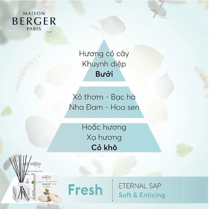 Maison Berger - Bộ tinh dầu xe hơi hương Eternal Sap - 2 cái