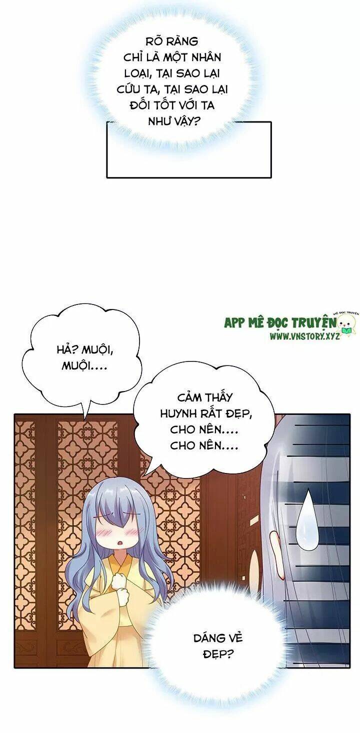 đô đốc đại nhân sủng thê kí chapter 132 13