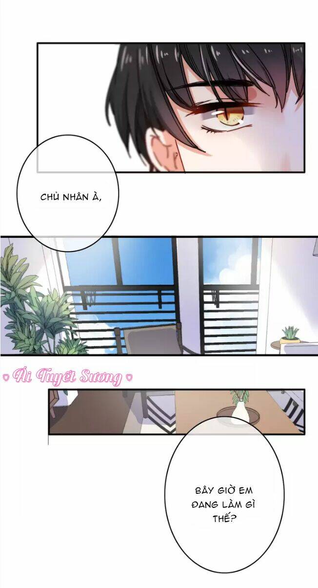 thập quang mật ngữ chapter 13 16