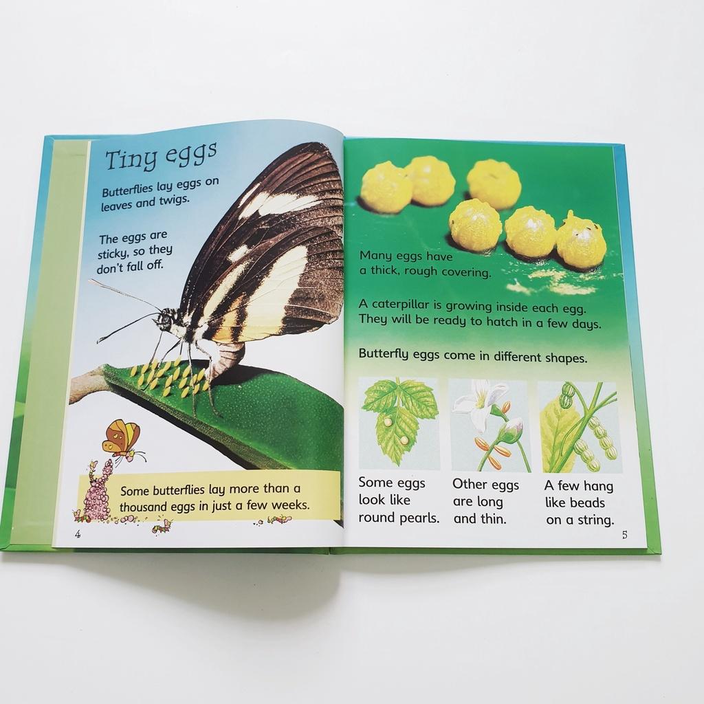 Usborne beginner nature 10q nhập màu box set