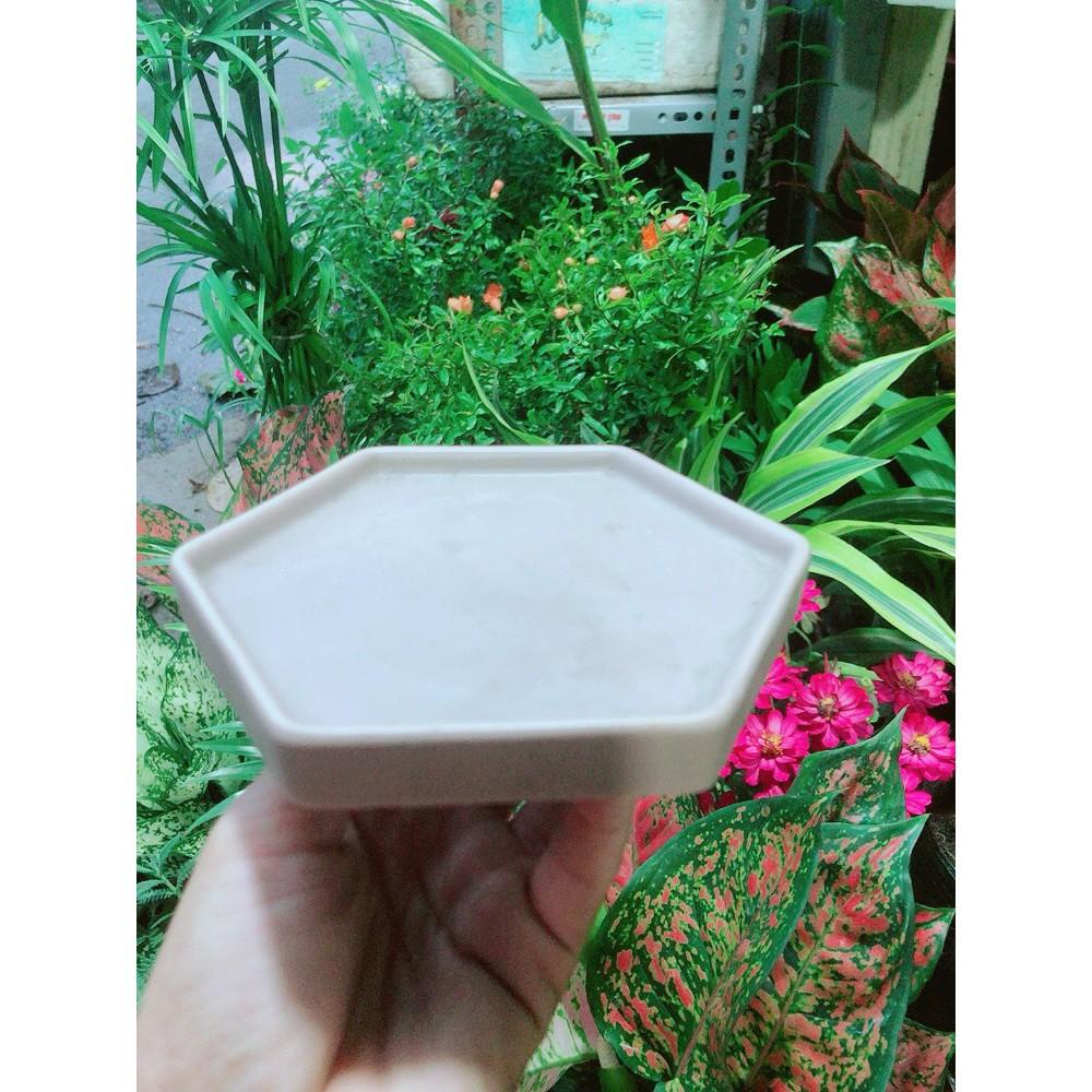 Đĩa Lót Chậu