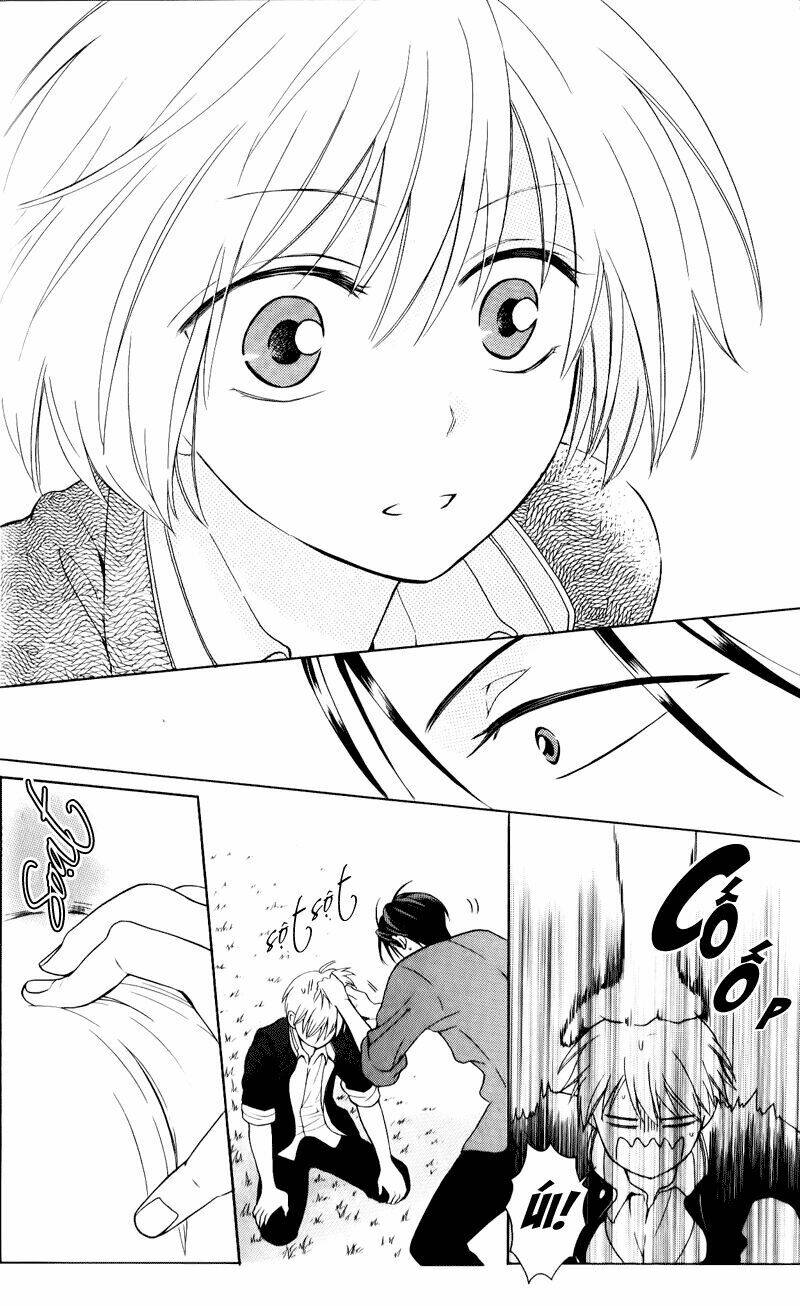 thầy giáo của tôi chapter 49 13