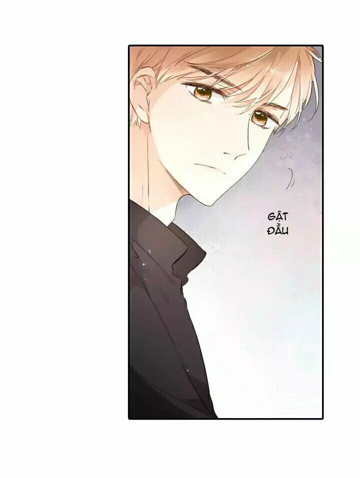 Tình yêu là màu hoa anh thảo chapter 24.2 7