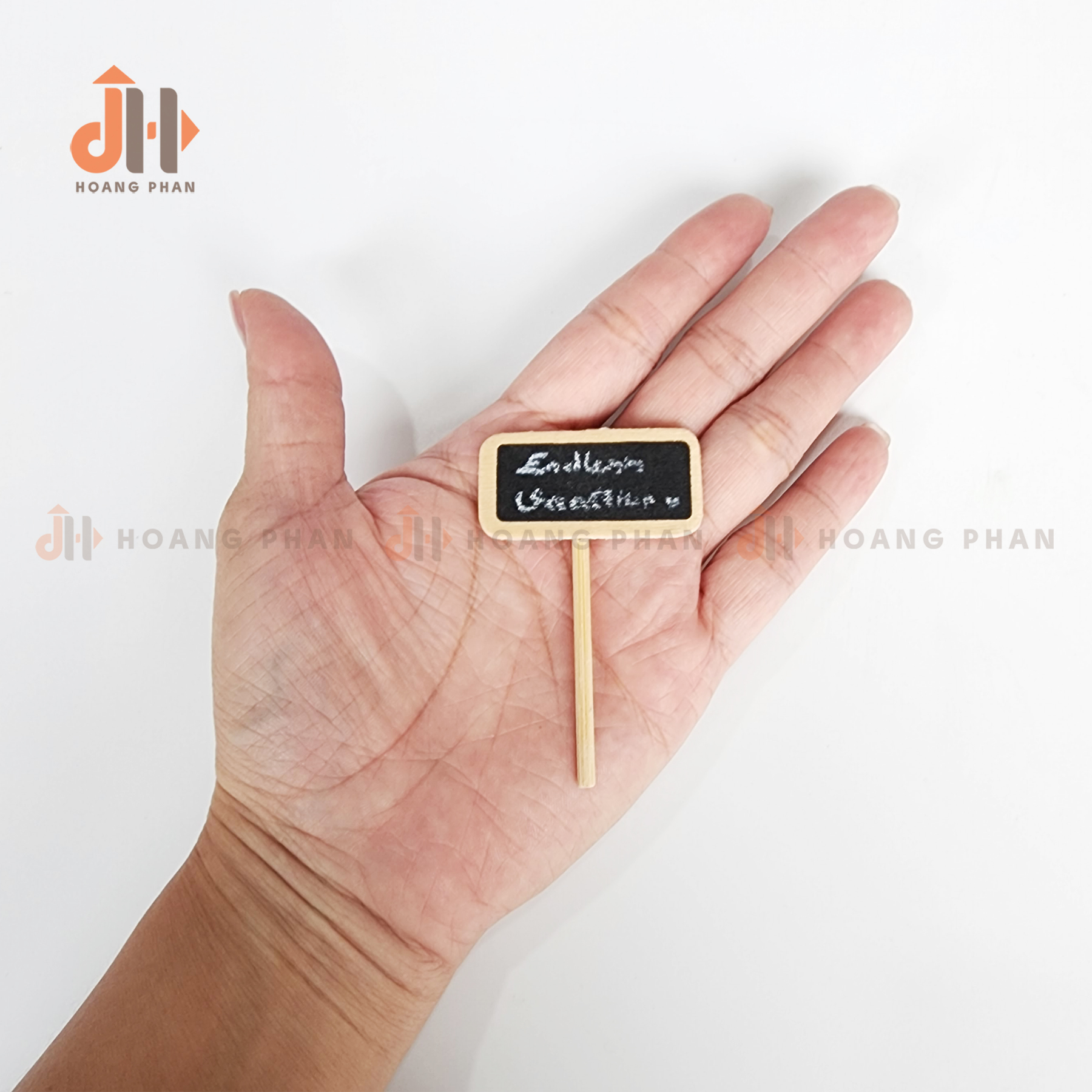 Trụ xương rồng ống vĩnh cửu trang trí