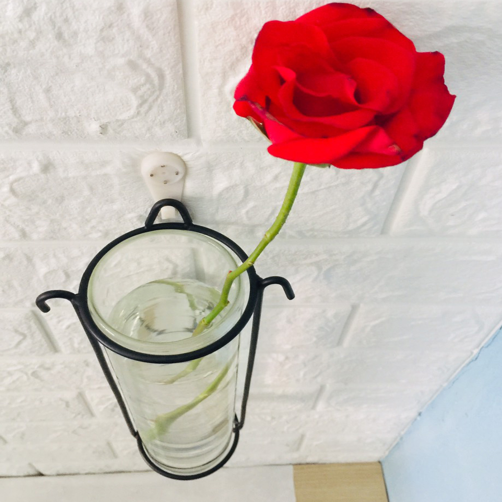 Chậu thủy tinh trụ tròn treo tường 8 x 27cm