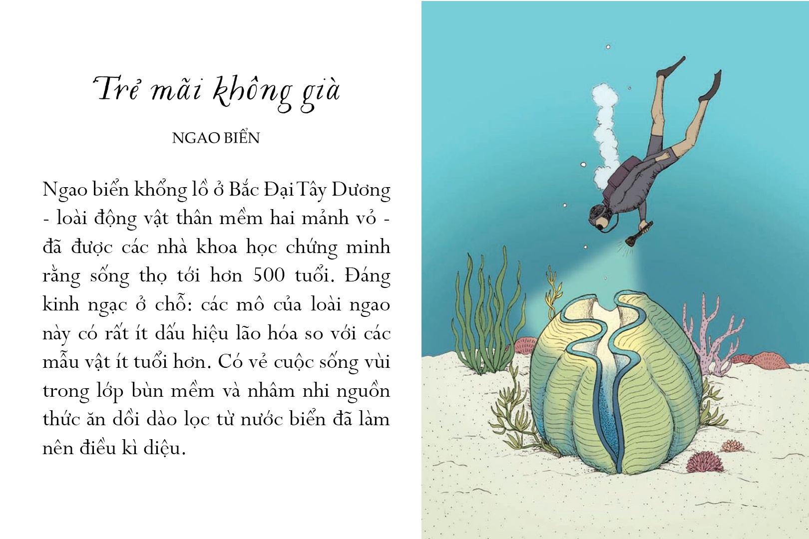Sống Một Đời Tựa Biển Khơi - Những Bài Học Trí Tuệ Nhẹ Nhàng Của Đại Dương