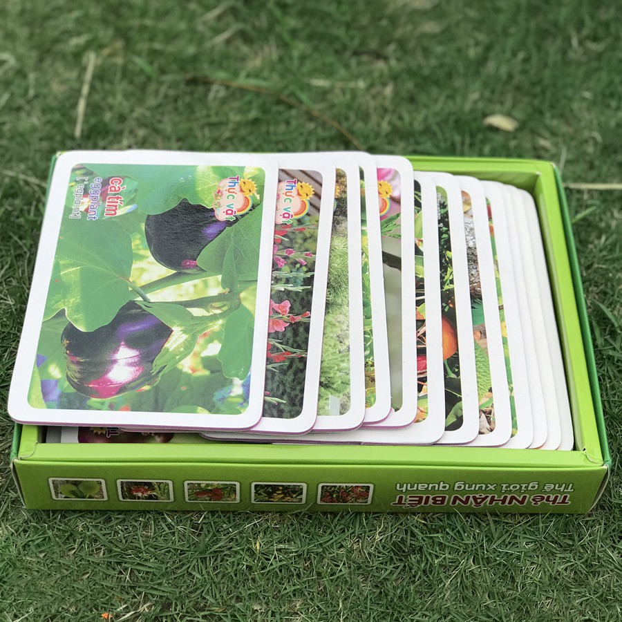 Thẻ Nhận Biết Thế Giới Xung Quanh - Thực Vật