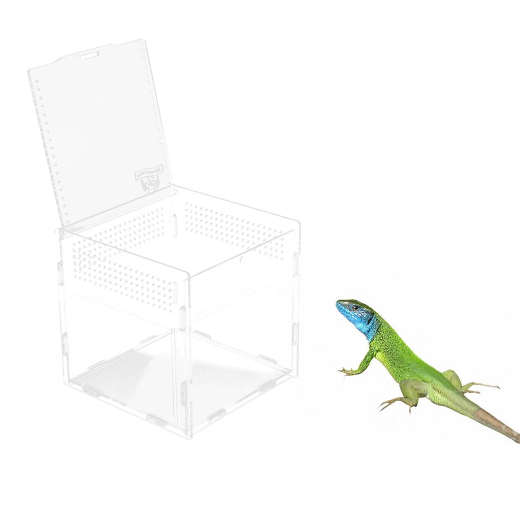 Transparent Acrylic Aquarium Fish Tank Anti-escape Box Reptile Lizaed Spider