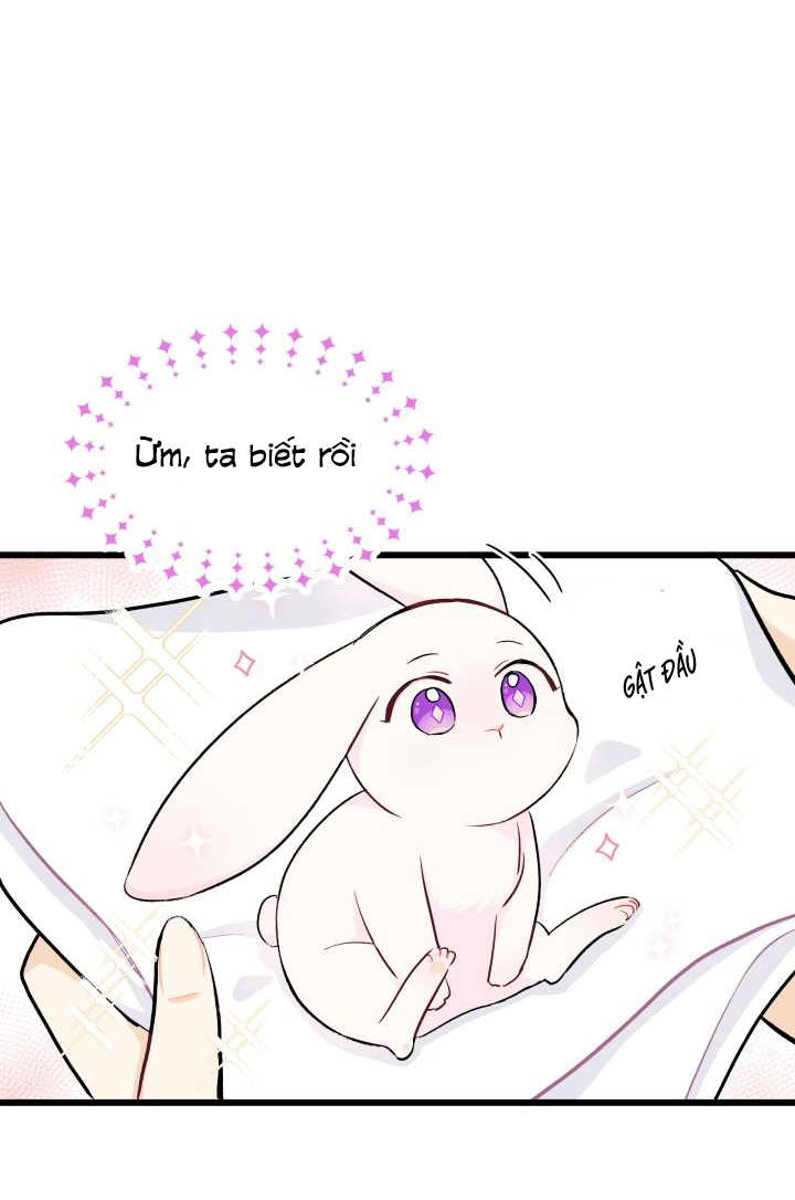 mối liên kết giữa báo đen và bé thỏ chapter 10 7