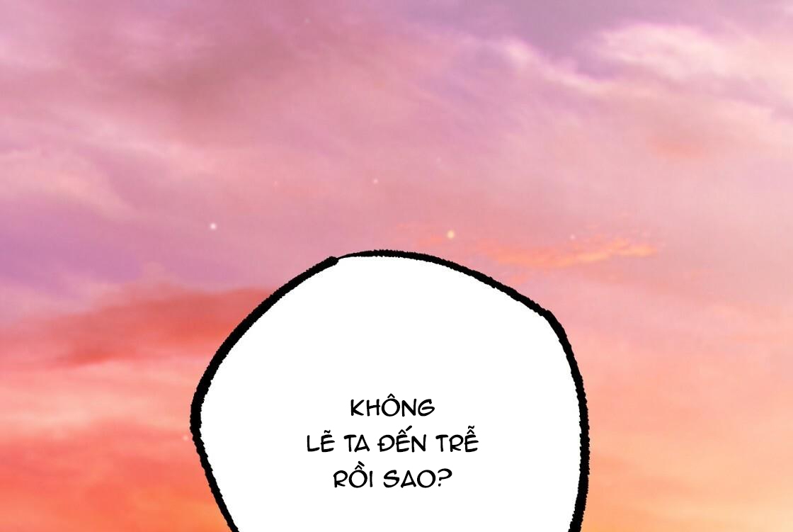 đàn thỏ của habibi chapter 24 2