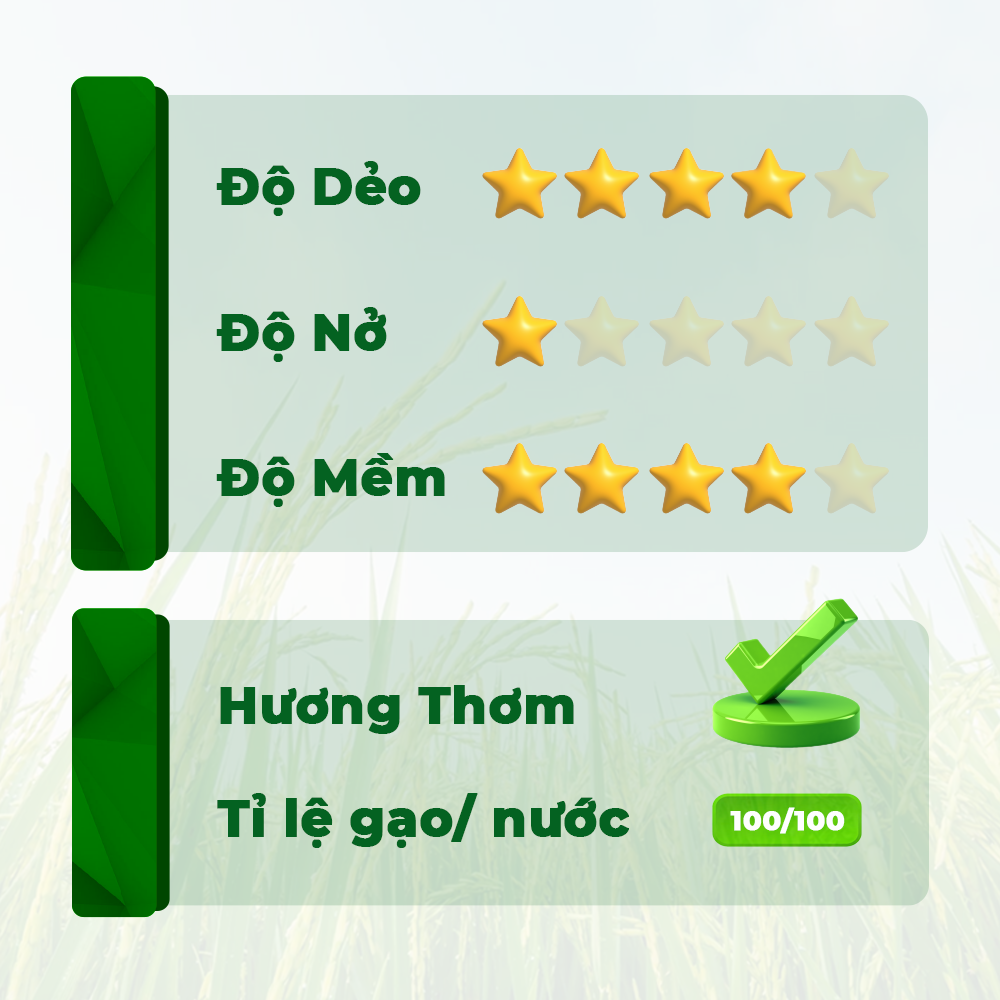 Gạo Đài thơm 8 - Túi 10kg - Gạo thơm dẻo, đậm vị 5RICE