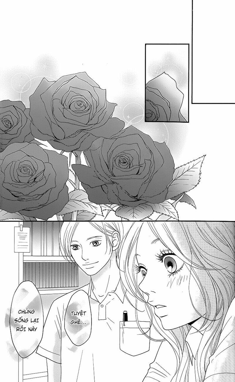 đóa hoa năm ấy chapter 1 38