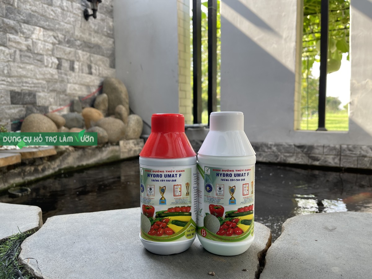 Bộ 2 Chai Dung Dịch Dinh Dưỡng Thủy Canh Cho Rau Ăn Quả PN PN33459L (500ml x 2 Chai)