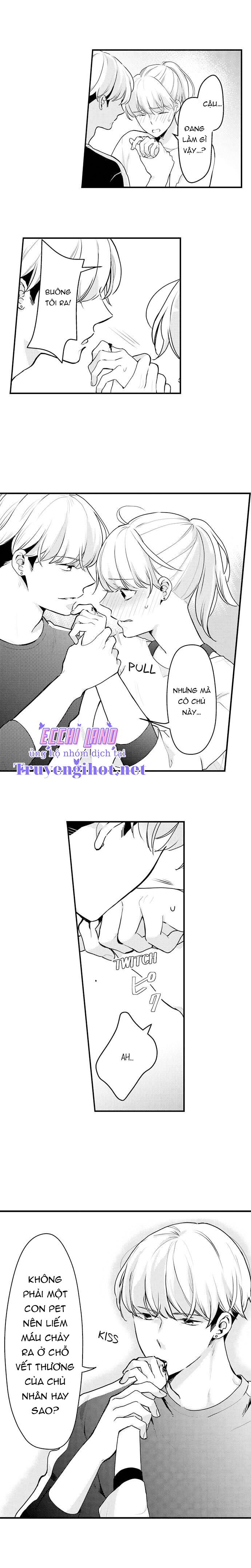 pet nhà tôi là yakuza chapter 12.2 2