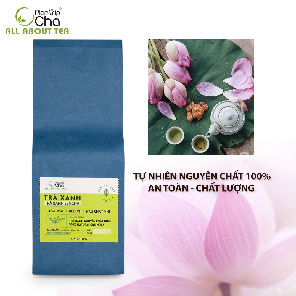 Trà Sencha Plantrip Cha Hảo Hạng Vị Chát Nhẹ Tinh Tế - Túi 100gr-250gr