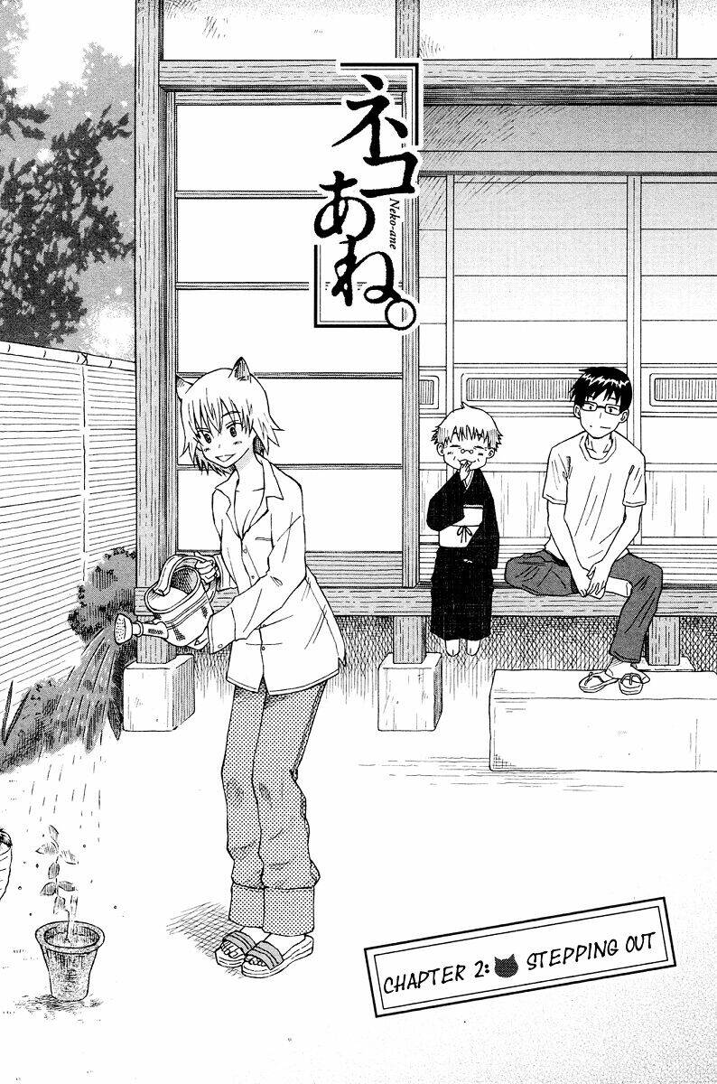 neko ane chapter 2 2