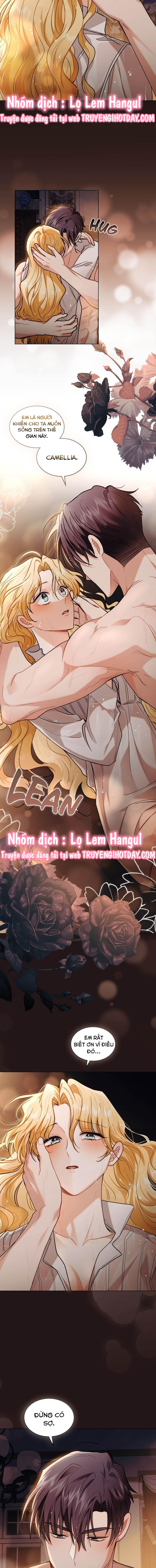 đi tìm nàng camellia chapter 84 3