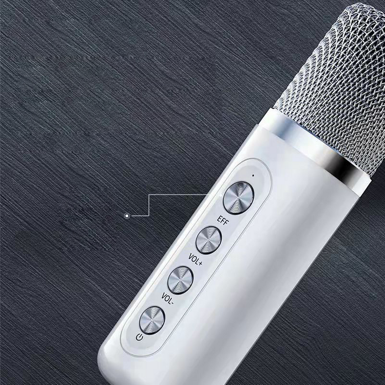 LOA HÁT KARAOKE CAO CẤP TAZAKO 2 MIC