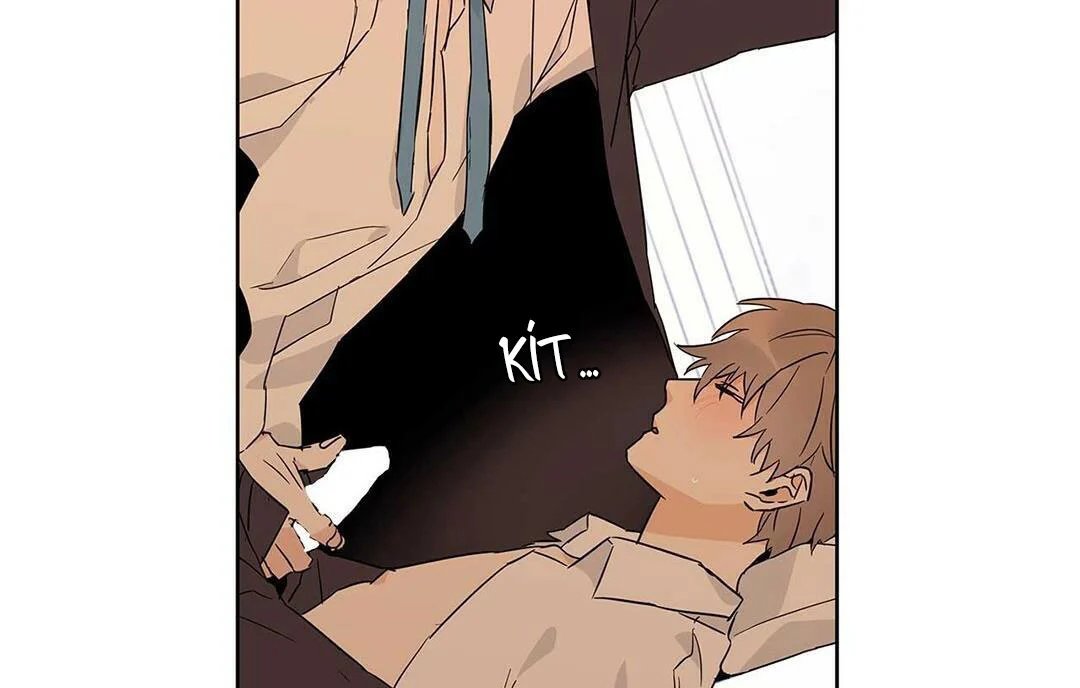 guide cấp b chapter 17 41