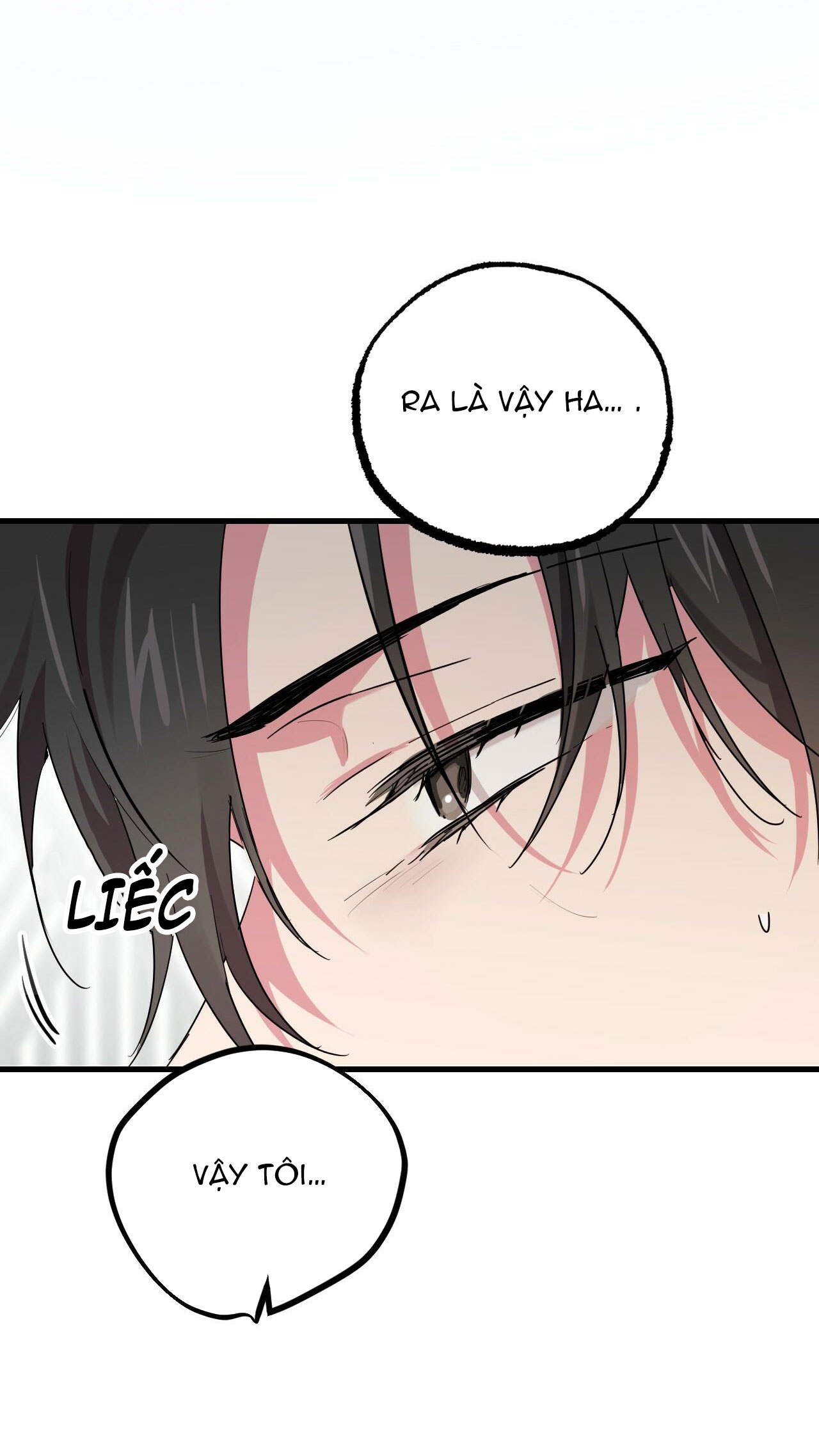 những chú thỏ của hapypy chapter 12 28