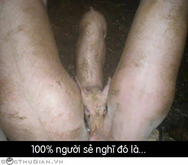 hình ảnh hài hước new chapter 27 26