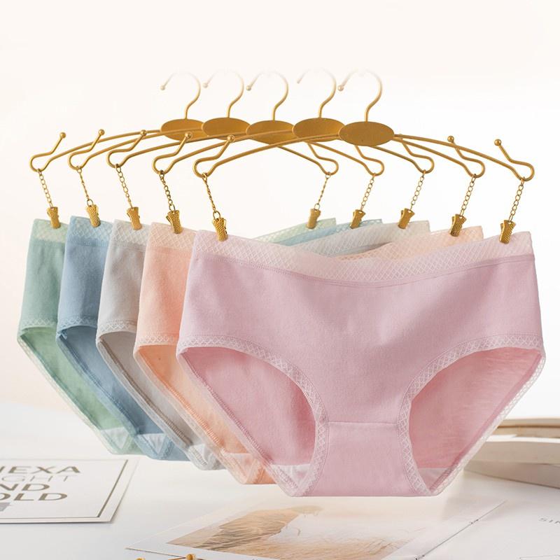 Set 5-10 Quần Lót Cotton Nữ Cạp Lưới Cao Cấp Loại To