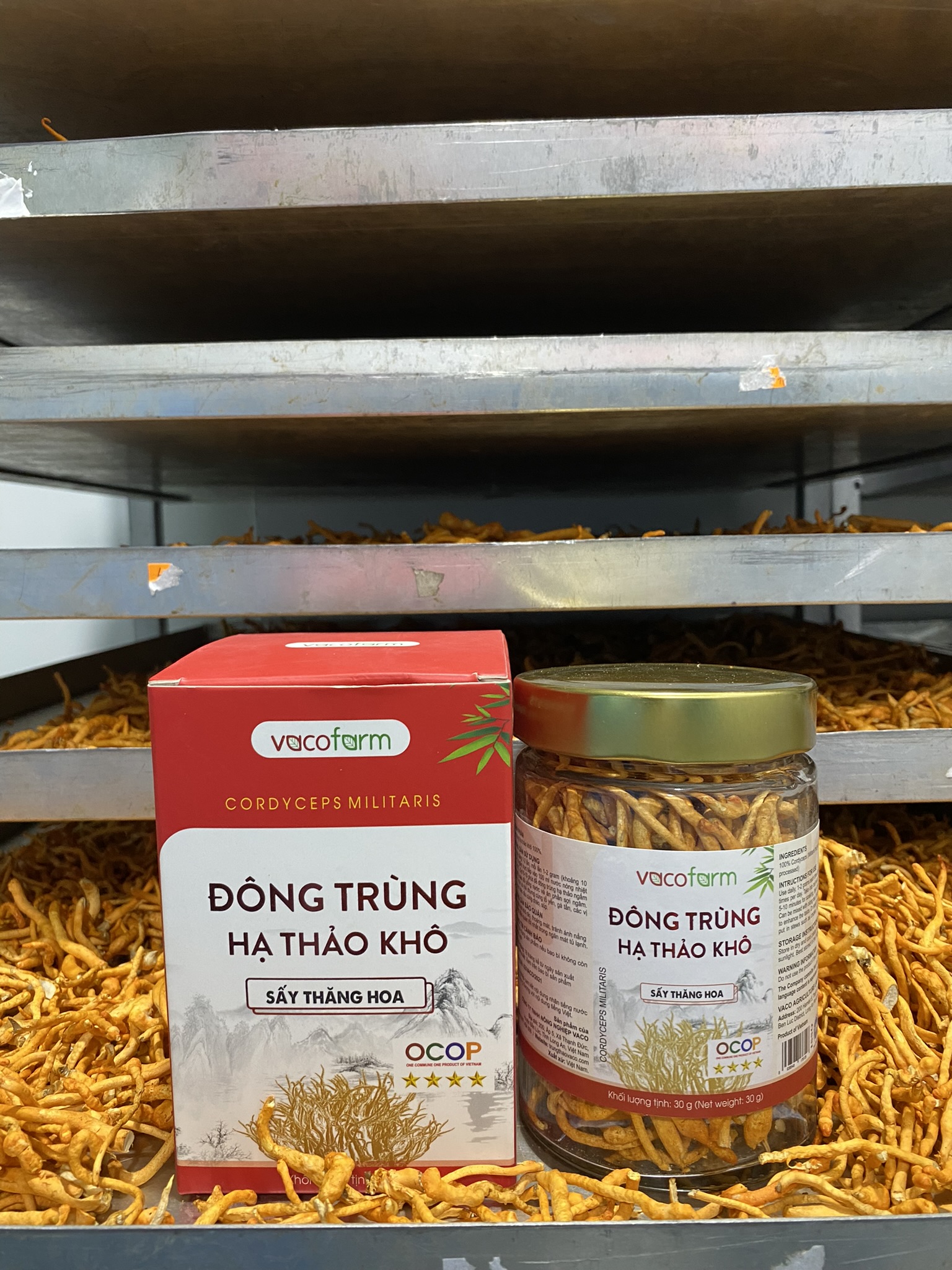 Đông trùng hạ thảo Vacofarm 30g thủy tinh sấy thăng hoa, mua 1 tặng hộp 10g,Mua 2 tặng 1 cùng loại