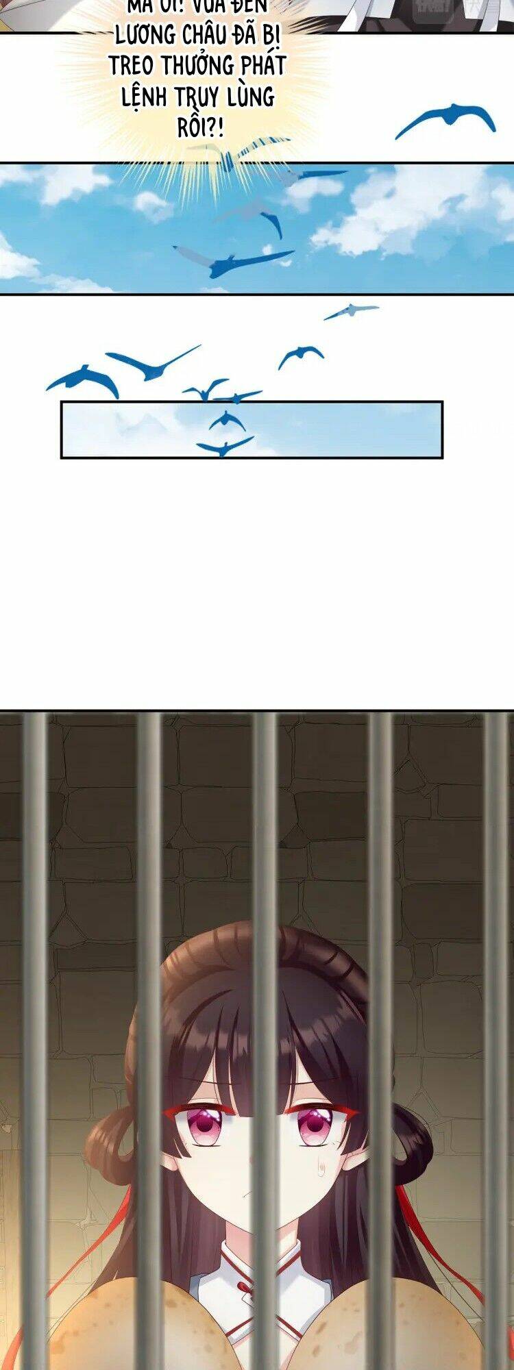 kiều phu có hỉ chapter 61 14