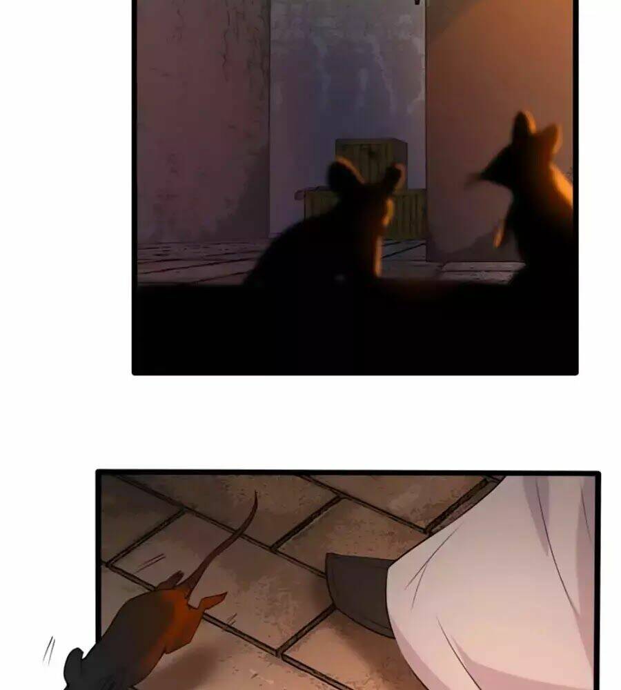 gian phi như thử đa kiều chapter 71 22